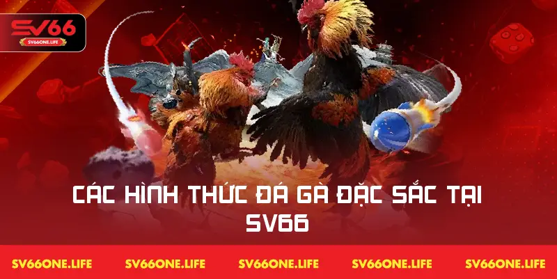 Một số hình thức cá cược đá gà đặc sắc tại nhà cái SV66
