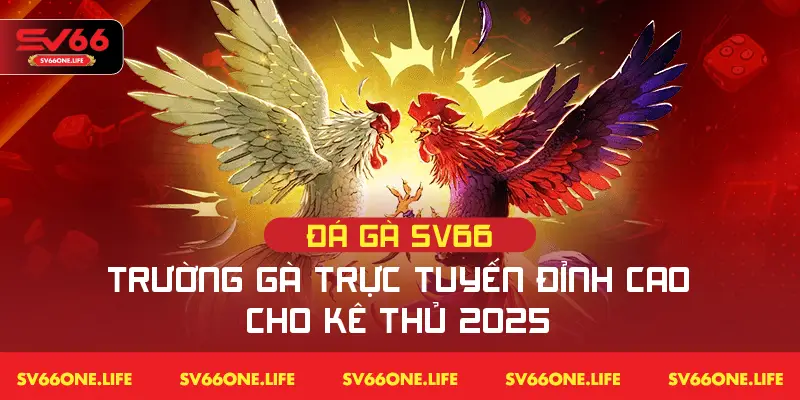 Sảnh đá gà SV66 sở hữu nhiều ưu điểm mạnh thu hút đông đảo cược thủ